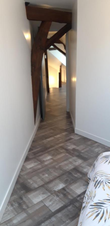 A 18min Du Zoo 30min Des 24h Du Mans Appartement